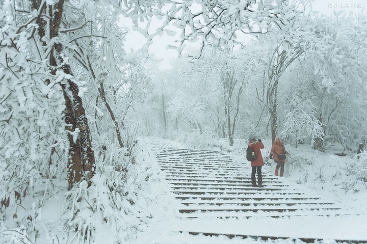 大雪入冬，這邊卻刮起了“火熱風(fēng)暴”(圖2)