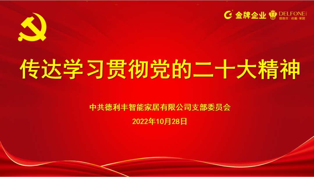 德利豐黨支部傳達學習貫徹黨的二十大精神